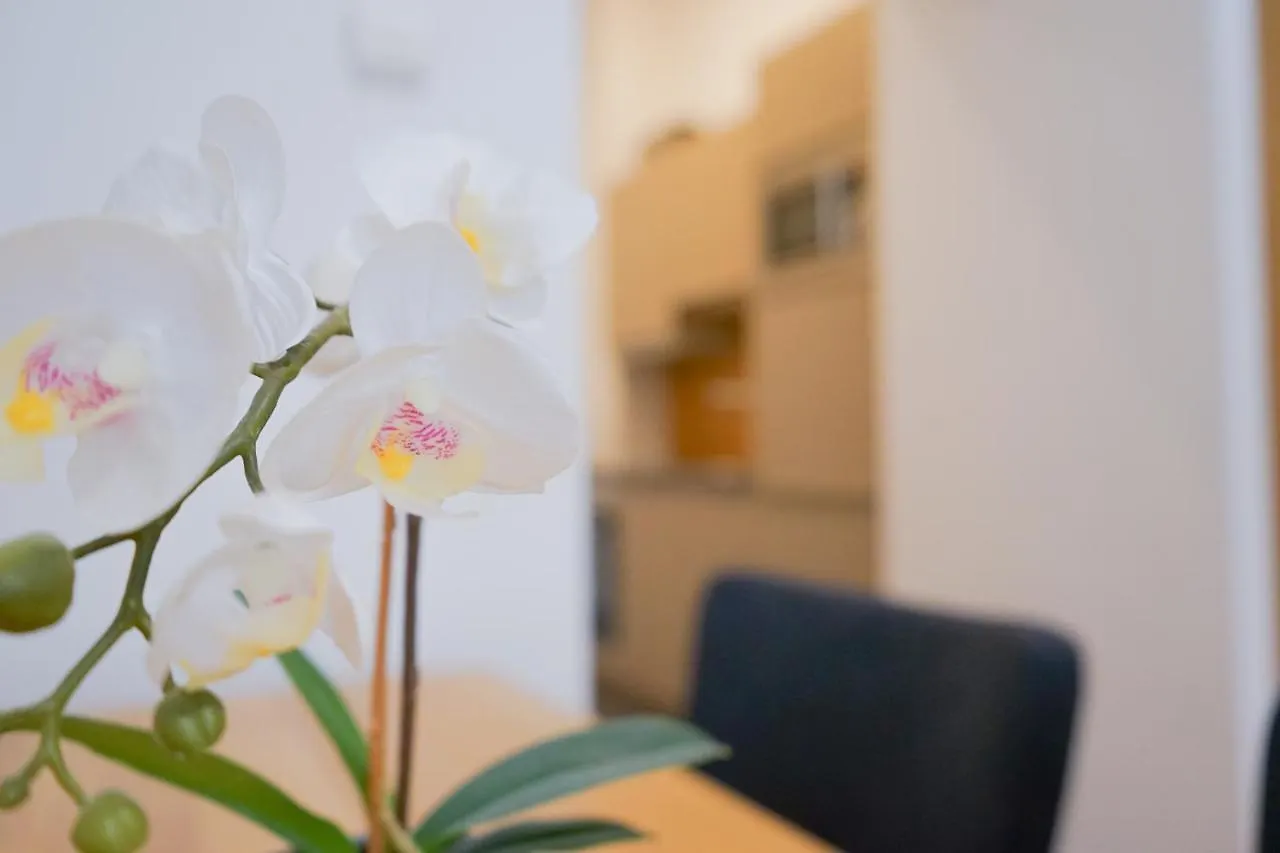Nadland Apartments B7 Vienne